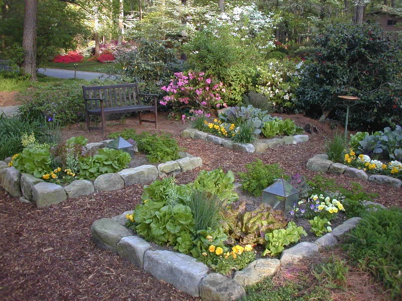 Pretty vegetable garden salad garden organic 